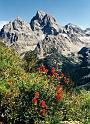 B001 N.P.Teton-Grand Teton